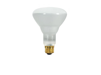 Incandescent Bulb